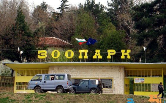 Крадци задигнаха фуража на зоопарка и 30 лотарийни билета в Благоевград