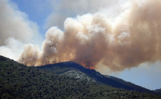 Гора и сухи треви са пламнали в района на Каламици