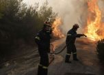 Външно: няма пострадали българи при пожара в Ситония