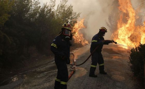 Пожар в Ситония, Гърция