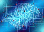 Илон Мъск обяви план за хакване на човешкия мозък