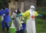 Епидемия от ебола в Конго, Световната здравна организация обяви глобална тревога