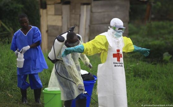 Епидемия от ебола в Конго, Световната здравна организация обяви глобална тревога