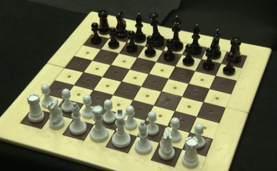 Стартира световното първенство по шахмат за затворници