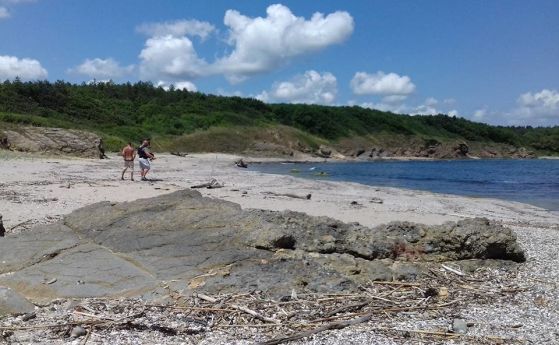 Булдозер нагази парка Странджа, изкопан е път до плаж в резерват