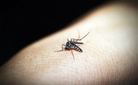 Резистентна към медикаменти малария покосява в част oт Азия
