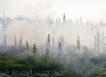 Извънредно положение в Сибир: 3 млн. хектара гора изгоря, 12 млн. вече са унищожени (видео)