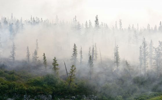 Извънредно положение в Сибир: 3 млн. хектара гора изгоря, 12 млн. вече са унищожени (видео)