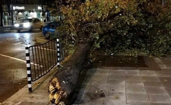 Бурята в София взе жертва Загинал е 55 годишен мъж Той