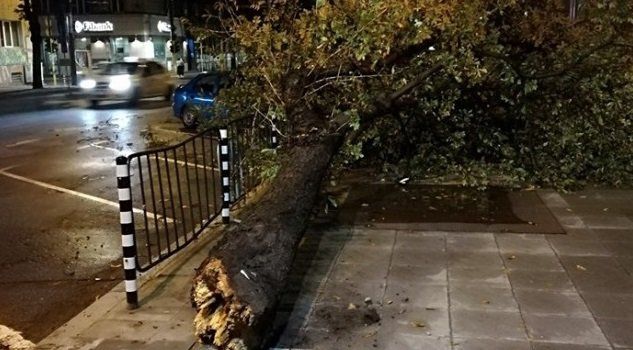 Бурята в София взе жертва. Загинал е 55-годишен мъж. Той