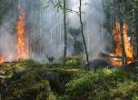 Над 30 горски пожара са загасени в Русия за последното денонощие