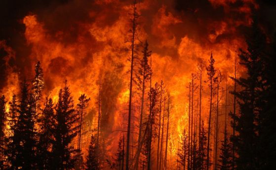 Пожар в гората над Свети Влас