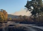 Пожарът край Хасково е овладян, друг избухна в торовия завод 'Неохим' в Димитровград, трети - в Пловдивско