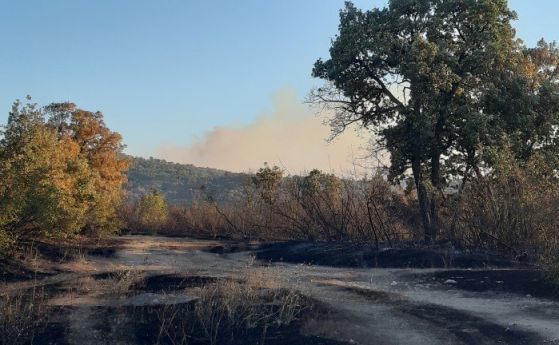 Пожарът край Хасково е овладян, друг избухна в торовия завод 'Неохим' в Димитровград, трети - в Пловдивско