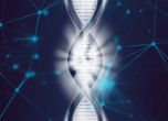 СЗО създава единен регистър на човешкия геном