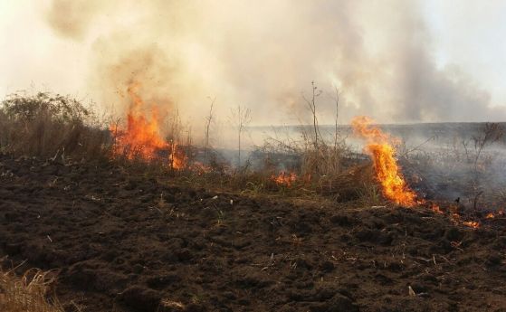 17 пожара от запалени стърнища, глоби до 12 000 лв. не спират огъня в нивите