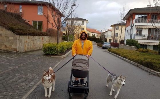 Кучешки истории