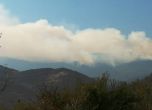 Огнеборци от България и Сърбия гасят пожар в Стара планина