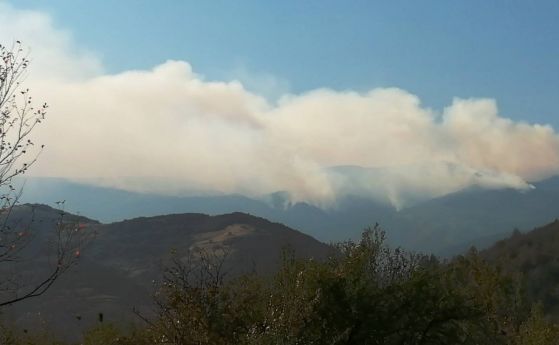 Огнеборци от България и Сърбия гасят пожар в Стара планина