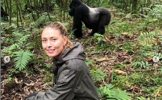 Мария Шарапова в опасна близост с горили (снимки)