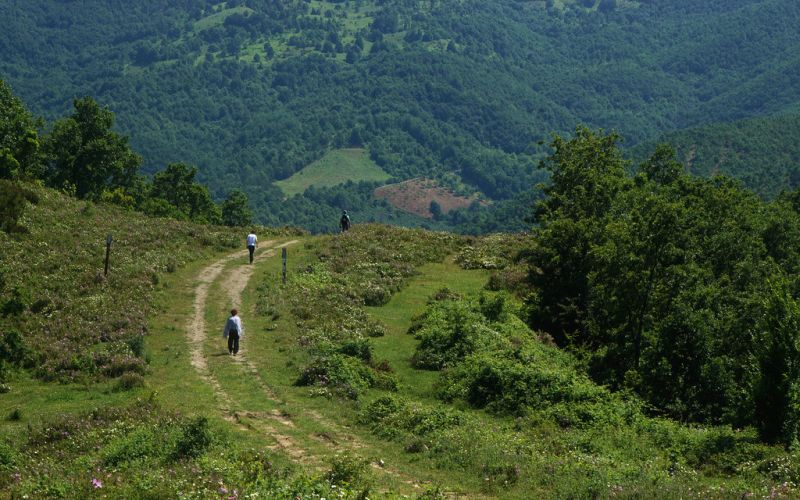 село Дерекьой, Турция