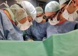 Младите надежди на ВМА осъществиха трансплантация на черен дроб