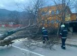 Бурята нанесе сериозни щети във Врачанско