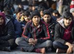 Одрин спря рекорден брой мигранти в опит да се прехвърлят у нас и в Гърция