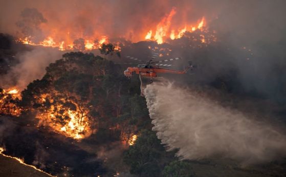 Горските пожари в Австралия създават своя климатична система