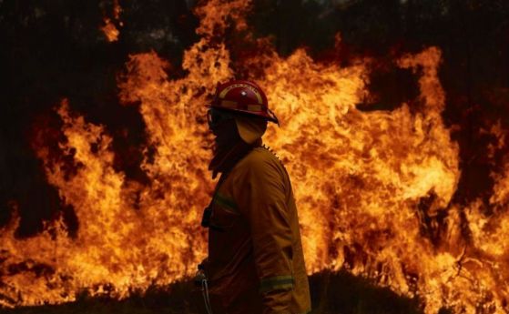 МВнР: Няма засегнати българи при пожарите в Австралия