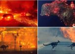 Димът от пожарите в Австралия измина 12 000 км и достигна Южна Америка