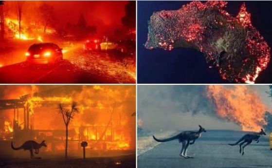 Димът от пожарите в Австралия измина 12 000 км и достигна Южна Америка