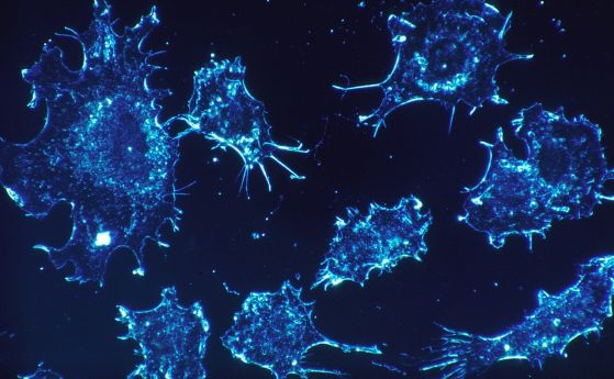 Може ли имунотерапията да влоши състоянието на онкоболните?
