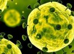 Десет души са със съмнения за коронавирус във Франция