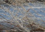 Сняг, вятър и условия за виелици и навявания