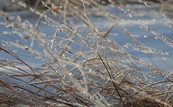 Сняг, вятър и условия за виелици и навявания