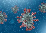 Отрицателна е пробата за коронавирус на завърналия се от Шри Ланка българин