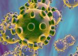 Първи смъртен случай на чужденец от коронавирус: американец на 60 г. издъхна от болестта