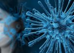 09.02.2020 г.: Най-смъртоносният ден за коронавируса досега