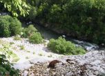 Авария в хвостопровод замърси реките Юговска и Чепеларска
