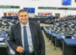 Нова кауза: Евродепутатът Радев ще се бори с продажбата на кучета