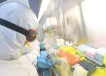 Близо 6 млрд. долара струва борбата с коронавируса на Китай