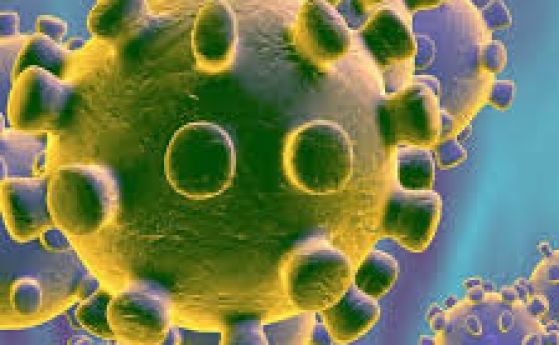 Първи случаи на коронавирус в Хърватия и Австрия