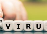 Психолог: Шегите с коронавируса помагат срещу паниката