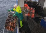 Австралийски ловци на омари по Viasat Explore