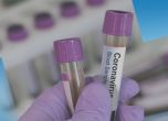Нови 4 случая на коронавирус у нас, заразените общо са 41