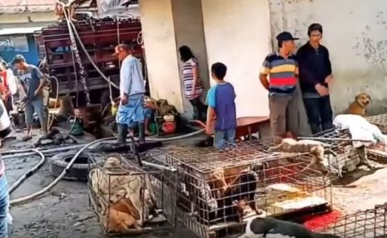 Журналисти откриха нулевия пациент в Ухан