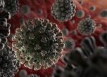 Къде се задържа най-дълго коронавирусът?
