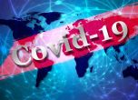 СЗО алармира: В близките дни заразените с COVID-19 ще са 1 милион, а загиналите - 50 000
