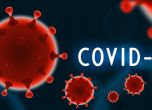 Нови 8 случая на COVID-19, 14 са вече починалите у нас